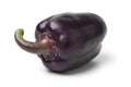 Single purple fresh bell pepper