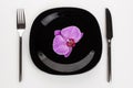 Orchid phalaenopsis flower on a black plate on a white background Royalty Free Stock Photo