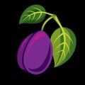 Single purple simple vector plum with green leaves, ripe sweet fruit illustration. Royalty Free Stock Photo