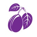 Single purple simple vector plum with leaves, ripe sweet fruit i Royalty Free Stock Photo