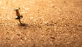 Single Pushpin on an Empty Corkboard Royalty Free Stock Photo