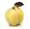 Single Quince fruit with leaf isolated on white Royalty Free Stock Photo