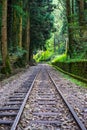 Single railway in a secluded rainforest