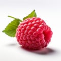 Vibrant Raspberry With Green Leaves On White Background