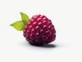 Single raspberry is shown on a white background