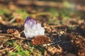 Single raw amethyst gemstone on the ground outdoor