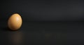 Single Raw Egg on Dark Black Background with Copy Space Royalty Free Stock Photo