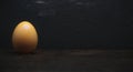 Single Raw Egg on Dark Black Background with Copy Space Royalty Free Stock Photo