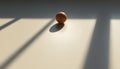 Single Egg in Sunlight with Dramatic Shadows Royalty Free Stock Photo