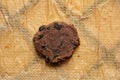 Single raw food flax cookie with raisins