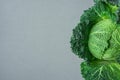 Single Raw Organic Savoy Cabbage with Beautiful Bushy Wide Green Leaves Texture on Grey Stone Background. Website Banner Poster Royalty Free Stock Photo