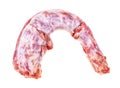single raw Oxtail ( tail of cattle) isolated