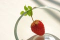 Single ripe strawberry on a plate with mint leaves Royalty Free Stock Photo