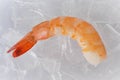 Single raw shrimp on ice Royalty Free Stock Photo