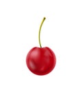 Single Realistic Cherry Isolated on White Background