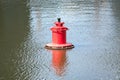 Single red buoy on quiet river closeup Royalty Free Stock Photo