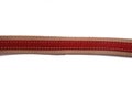 A single red canvas material fabric belt strap against a white backdrop Royalty Free Stock Photo