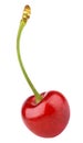 Single red cherry berry isolated on white Royalty Free Stock Photo