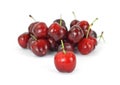 Single red cherry in front of group of cherries Royalty Free Stock Photo