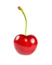 Single red cherry isolated on white background. Royalty Free Stock Photo