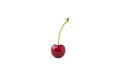 Single red cherry isolated on white background Royalty Free Stock Photo