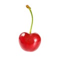 Single red cherry isolated on white background Royalty Free Stock Photo