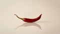 Single Red Chili Pepper with Reflection on a Neutral Background, a Spicy Ingredient. Royalty Free Stock Photo