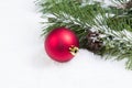 Single Red Christmas Ornament with Seasonal Fir Branch Royalty Free Stock Photo