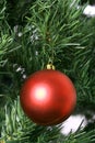 Single red christmas ornament on tree Royalty Free Stock Photo