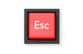Single, red computer keyboard escape key over white background, stop, quit or exit business concept, flat lay top view from above