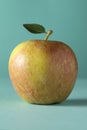 A single red cox apple on a grey background Royalty Free Stock Photo