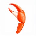 Single Red Crab Claw Illustration on White Background Royalty Free Stock Photo