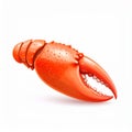Single Red Crayfish Claw on White Background Royalty Free Stock Photo
