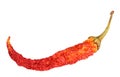 Single red dry chilli-pepper Royalty Free Stock Photo