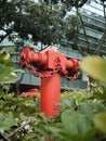 SINGLE RED FIRE HYDRANT Royalty Free Stock Photo