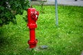 Single red fire hydrant on green lawn ner road and green hedge in summer sun Royalty Free Stock Photo