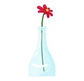 Single red flower clear glass bottle water. Minimalistic floral decoration. Simple elegant home