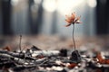 a single red flower growing out of the ground in the middle of a forest Royalty Free Stock Photo