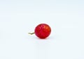 Single red grape Royalty Free Stock Photo