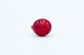 Single red grape Royalty Free Stock Photo