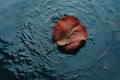 a single red leaf floating in a pool of water Royalty Free Stock Photo