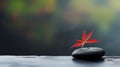 A single red leaf sitting on top of a rock, AI Royalty Free Stock Photo