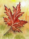 Single red maple leaf with as a symbol of autumn on yellow background Royalty Free Stock Photo
