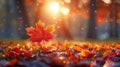 A single red maple leaf is sitting on the ground in a field, AI Royalty Free Stock Photo