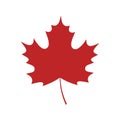 Single red maple leaf Royalty Free Stock Photo