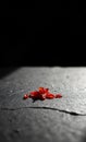 Single Red Pepper Flake on Slate Royalty Free Stock Photo