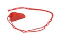 A single red plastic whistle blower with a matching red string isolated