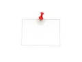 Single red pushpin securing blank note Royalty Free Stock Photo