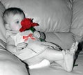 Single Red Rose For Baby Royalty Free Stock Photo