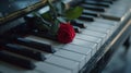 Red rose on piano keys evoke romantic melody. perfect image for music lovers, weddings, and valentine's day Royalty Free Stock Photo